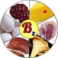 B2 B2 վիտամիններ ուղեղի համար